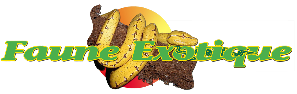 Faune exotique logo